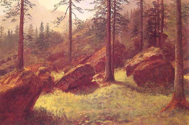 Albert Bierstadt Wooded Landscape oil painting image